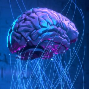 Neuromorphic Computing Market: Unleashing the Power of AI’s Evolution