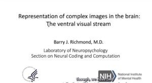 Can we understand how visual pattern processing occurs - Barry Richmond - Day 10 (CNS) - Telluride 2023