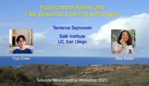 Hippocampal replay and fast sequence learning with waves - Terry Sejnowski - Day 10 (CNS) - Telluride 2023
