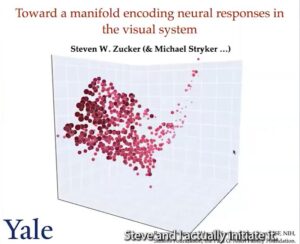 An encoding manifold of neurons in the visual system - Steve Zucker - Day 11 (CNS) - Telluride 2023