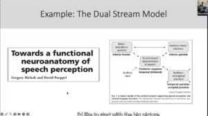 Towards a functional neuroanatomy of speech perception: Greg Hickok - Day 6 (AC) - Telluride 2023