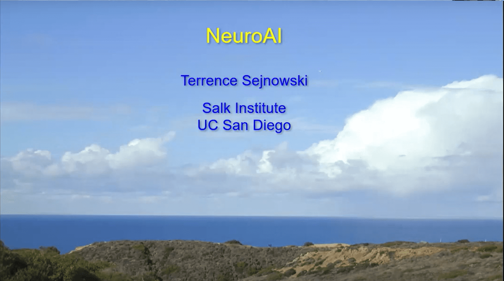 NeuroAI - Terry Sejnowski