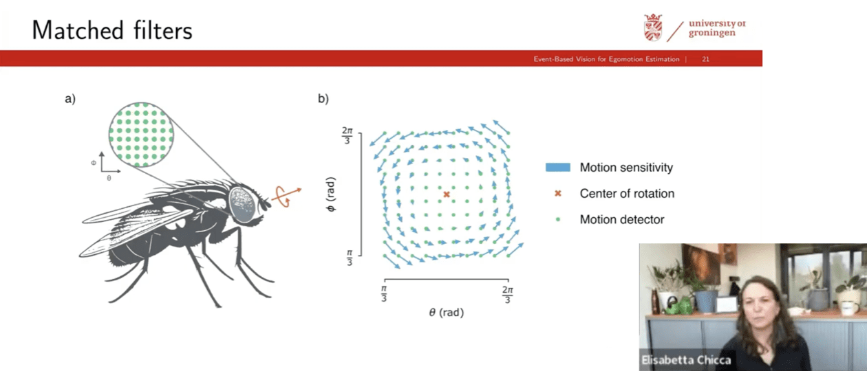 VIDEO> Elisabetta Chicca: Event-based vision for egomotion estimation