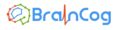 BrainCog